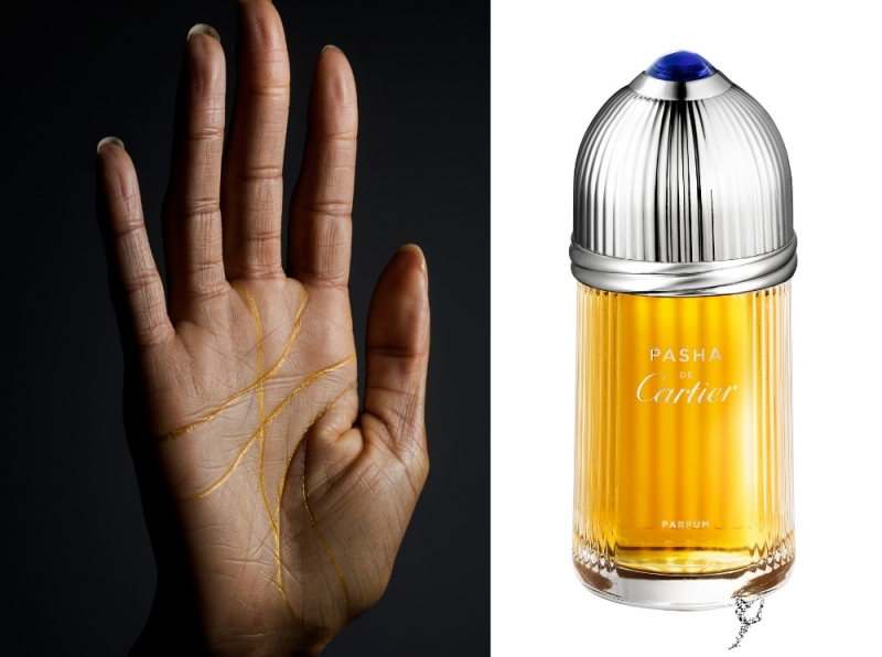 Аромат дня: Pasha de Cartier Parfum - «Красота»