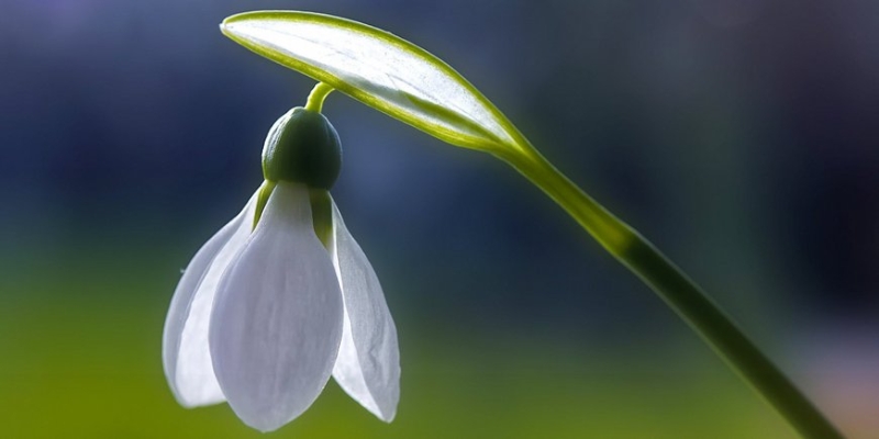 Слабые становятся сильными, а сильные - слабыми