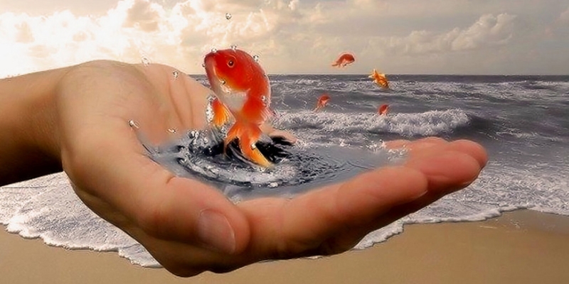 Чего вы на самом деле хотите - «Стиль жизни»